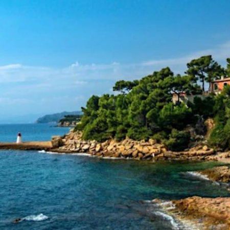 Studio Cosy Au Pied De La Plage カリー・ル・ルエ エクステリア 写真